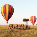 Hot Air Ballooning Safaris